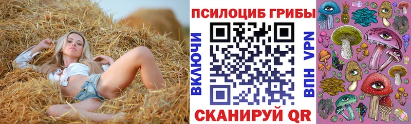 Галлюциногенные грибы GOLDEN TEACHER  где найти наркотики  Чехов 
